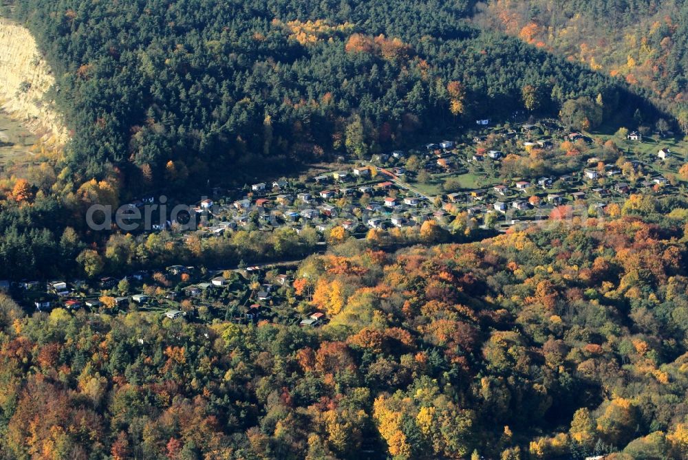 Jena from above - Autumn colored forest at Jena to garden at the core of mountains in Thuringia