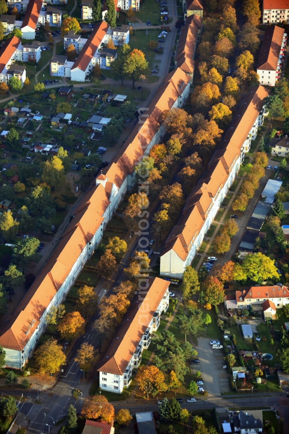 Aerial photograph Hennigsdorf - Autumnal golden colored tree rows in Hennigsdorf in Brandenburg