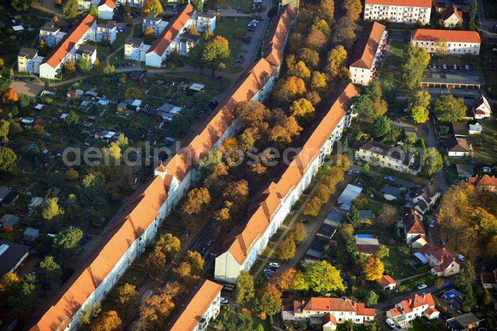 Hennigsdorf from above - Autumnal golden colored tree rows in Hennigsdorf in Brandenburg