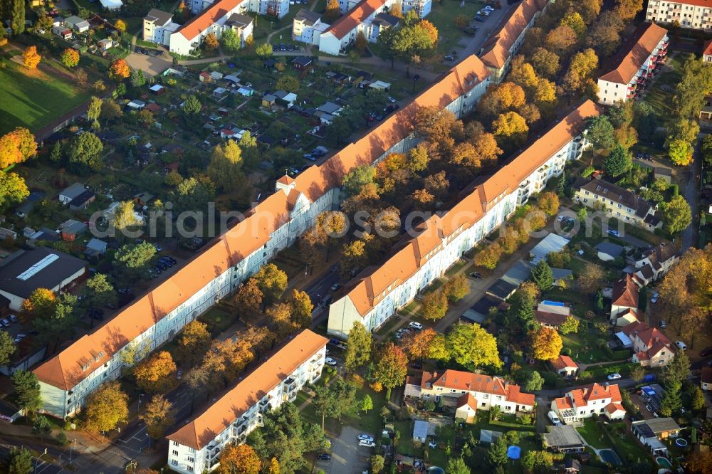 Hennigsdorf from the bird's eye view: Autumnal golden colored tree rows in Hennigsdorf in Brandenburg