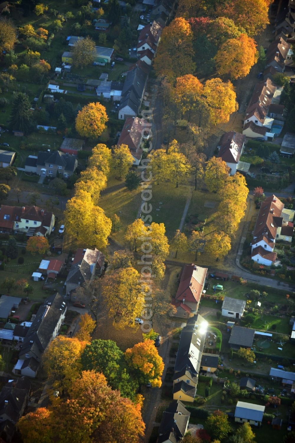 Hennigsdorf from the bird's eye view: Autumnal golden yellow colored rows of trees in the homestead settlement in Hennigsdorf in Brandenburg