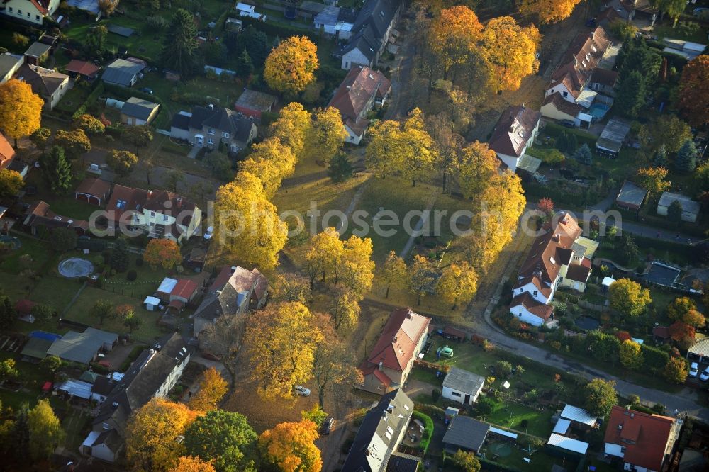 Aerial image Hennigsdorf - Autumnal golden yellow colored rows of trees in the homestead settlement in Hennigsdorf in Brandenburg