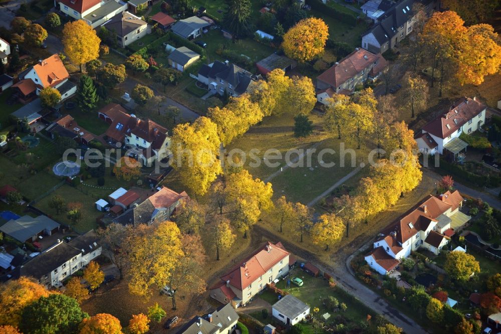 Hennigsdorf from above - Autumnal golden yellow colored rows of trees in the homestead settlement in Hennigsdorf in Brandenburg