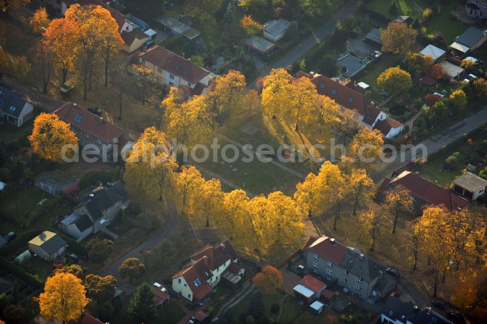 Hennigsdorf from the bird's eye view: Autumnal golden yellow colored rows of trees in the homestead settlement in Hennigsdorf in Brandenburg