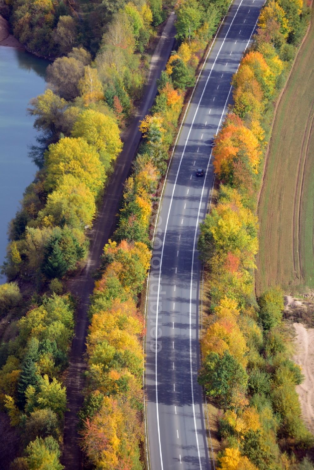 Bodenwerder from the bird's eye view: View of the autumnal A-Road 240 avenue in Bodenwerden in the state Lower Saxony