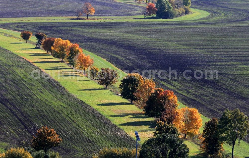 Alkersleben from the bird's eye view: Autumn field landscape with colorful trees in Alker life in Thuringia