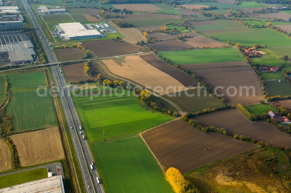 Aerial photograph Hamm - Autumnal fields around the federal motorway and surrounding area of the A2 in the West of the Rhynern part of Hamm in the state of North Rhine-Westphalia