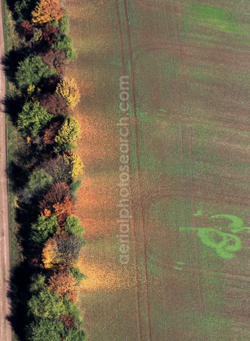 Aerial photograph Weimar - Autumnal fields- landscape near Weimar in Thuringia