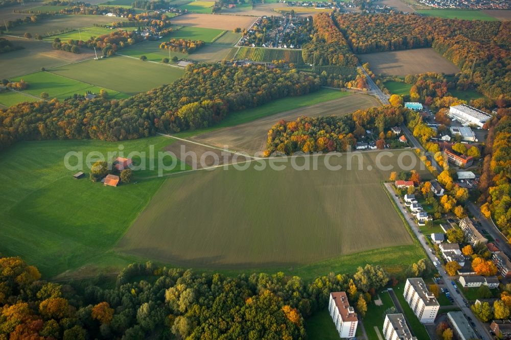 Gladbeck from the bird's eye view: Autumnal fields, meadows and forest on Hagelkreuzstrasse in the North of Gladbeck in the state of North Rhine-Westphalia