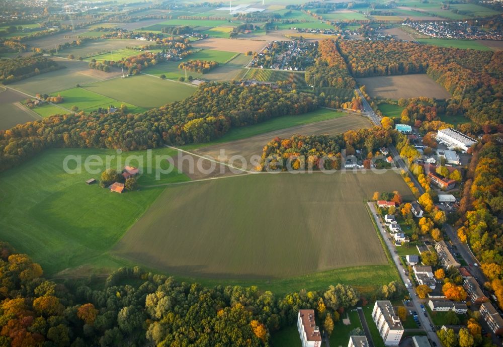 Aerial image Gladbeck - Autumnal fields, meadows and forest on Hagelkreuzstrasse in the North of Gladbeck in the state of North Rhine-Westphalia