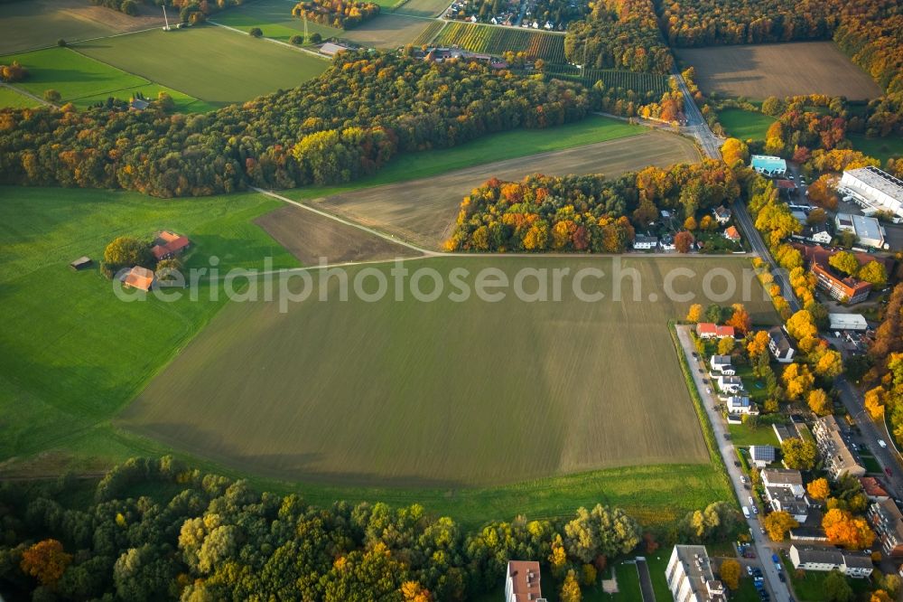 Aerial photograph Gladbeck - Autumnal fields, meadows and forest on Hagelkreuzstrasse in the North of Gladbeck in the state of North Rhine-Westphalia