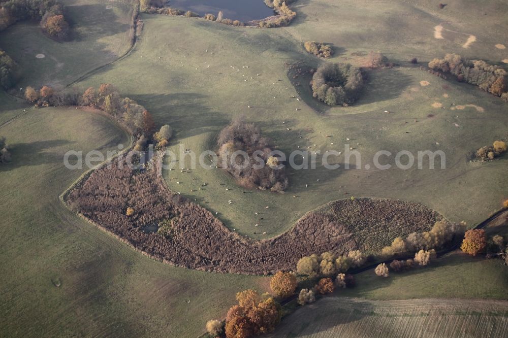 Lichterfelde from the bird's eye view: Meadow pasture- structures a field landscape in the nature reserve at Buckowseerinne Lichterfelde in Brandenburg