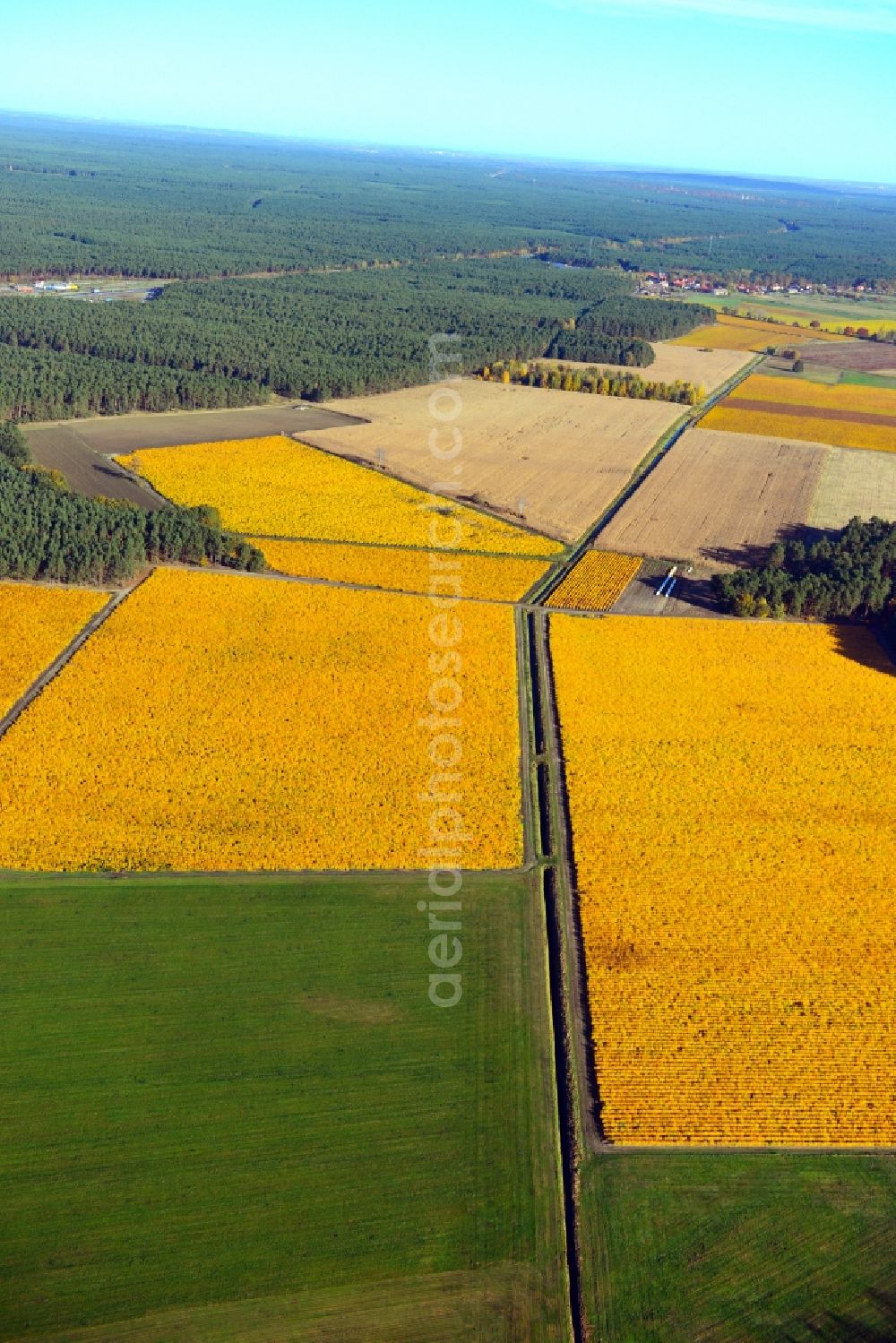 Trebbin from the bird's eye view: Autumnal view of agricultural land in the city Trebbin in Teltow-Flaming, Brandenburg