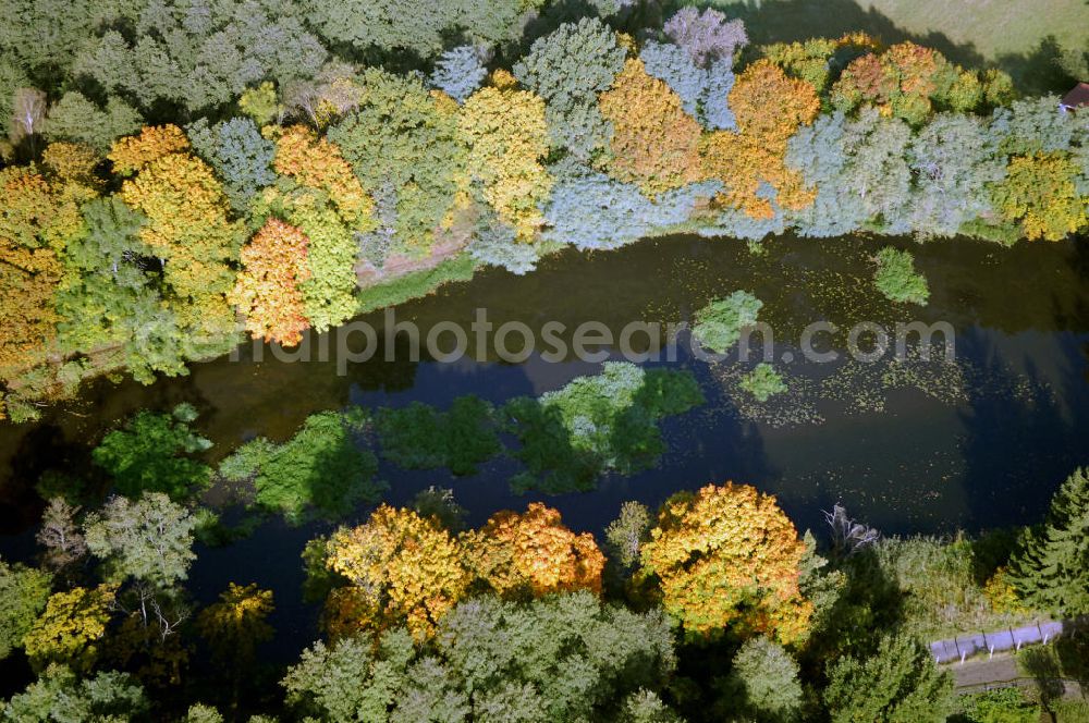 Aerial photograph Kranepuhl - Herbstliche Stimmung an Laubbäumen am Havelufer bei Kranepuhl in Brandenburg.