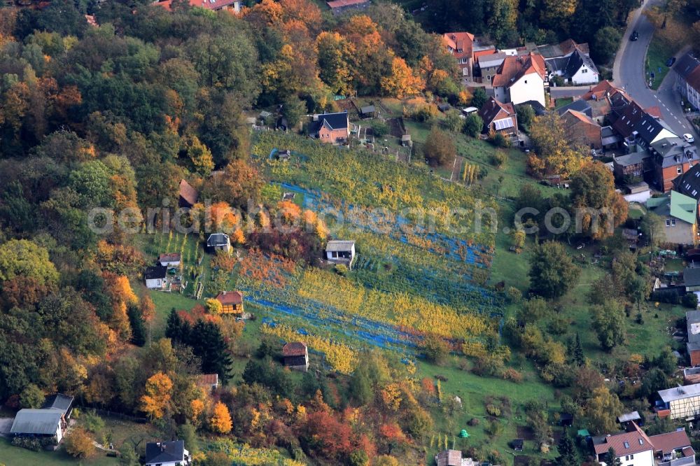 Aerial image Bad Sulza - Autumn forest and field landscape near Bad Sulza with vineyards in Thuringia