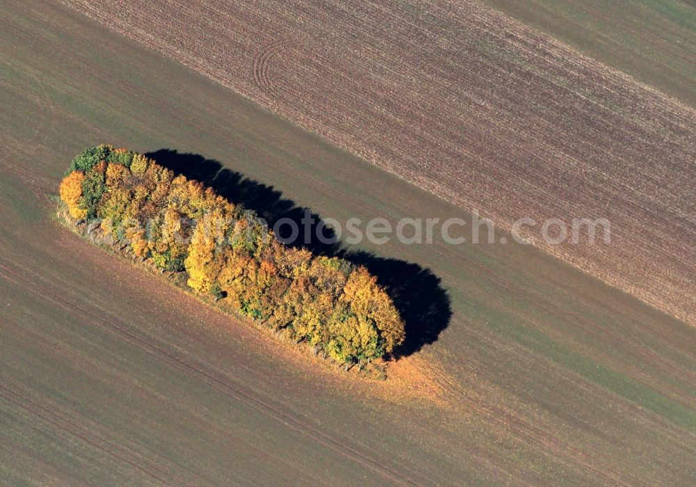 Weimar from the bird's eye view: Autumn forest and field landscape at Weimar in Thuringia