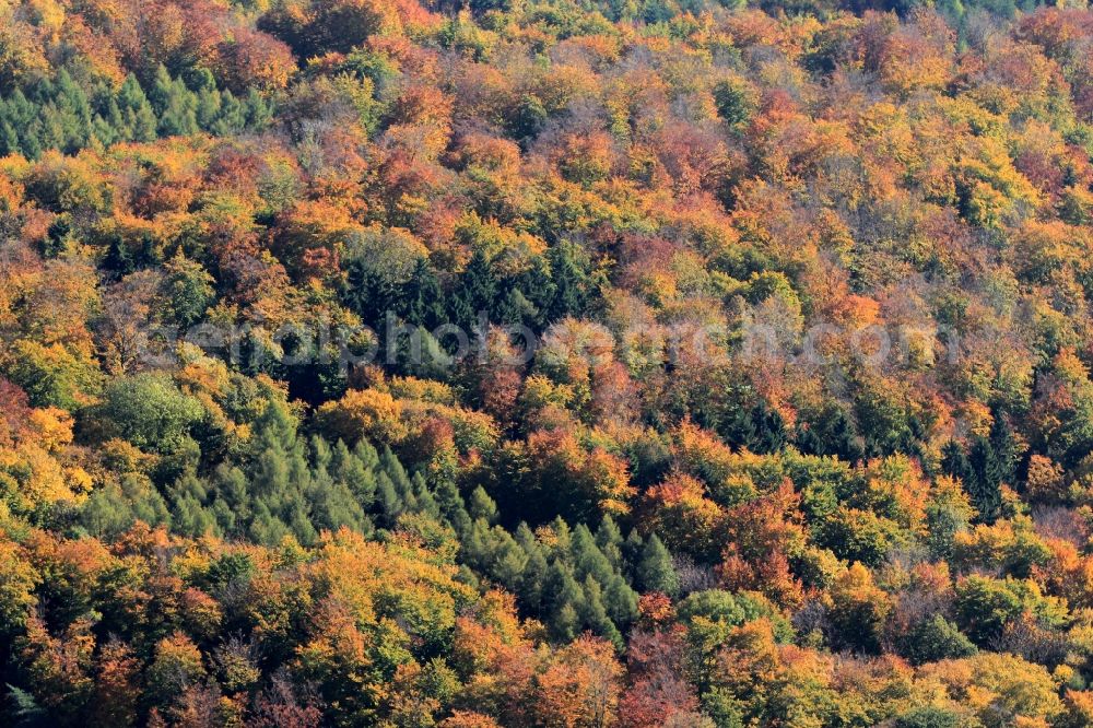 Aerial photograph Hohenfelden - Autumnal forest landscape with Hohenfelden in Thuringia