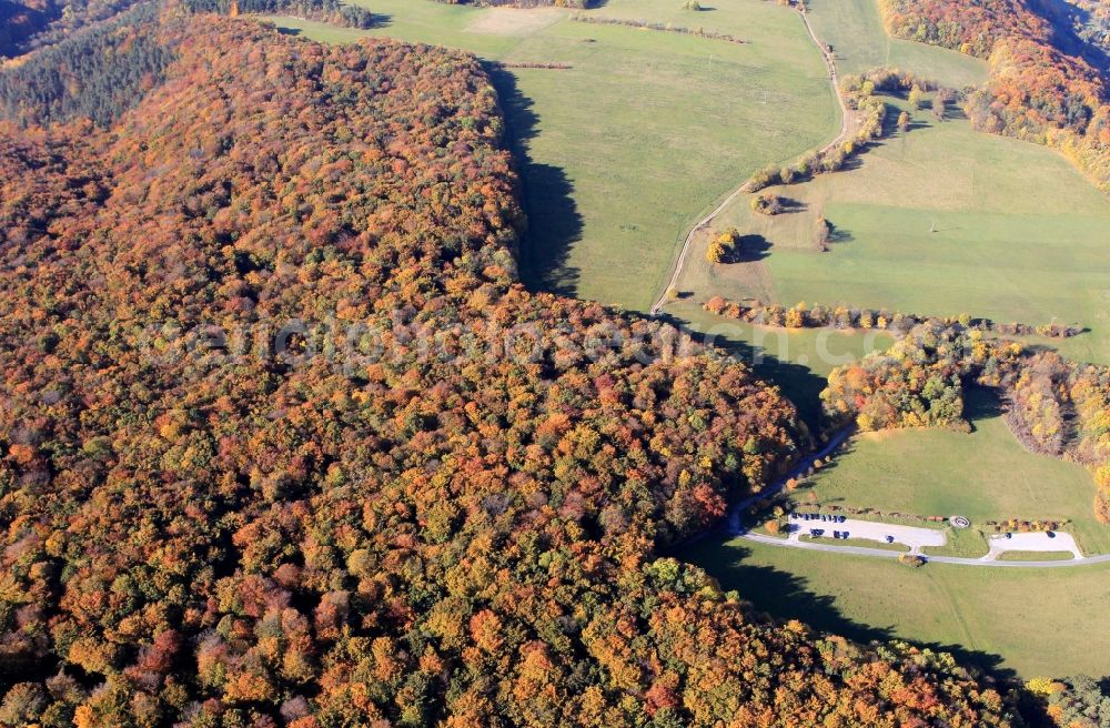 Aerial photograph Jena - Autumnal forest landscape near Jena in Thuringia