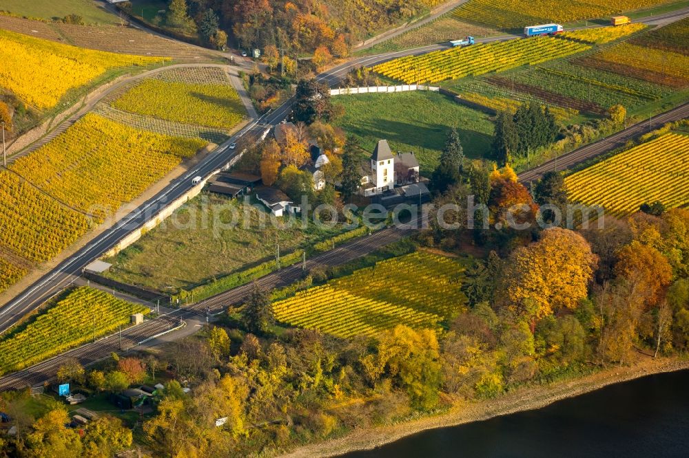 Aerial photograph Leutesdorf - Autumnal vineyards and fields of wine cultivation landscape in the North Leutesdorf in the state of Rhineland-Palatinate. Golden wine leaves and autumnal colourful landscape of the valley of the river Rhine