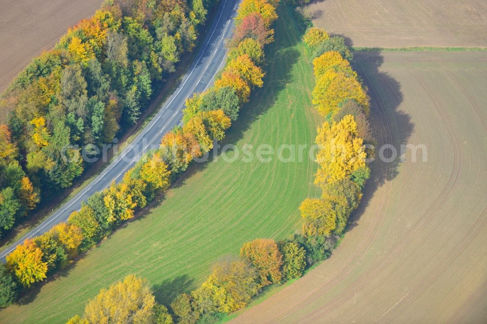 Aerial photograph Dörentrup - View of an autumnal forestland, the small landscape park Pottkuhle in Dörentrup on the Schwelentruper way