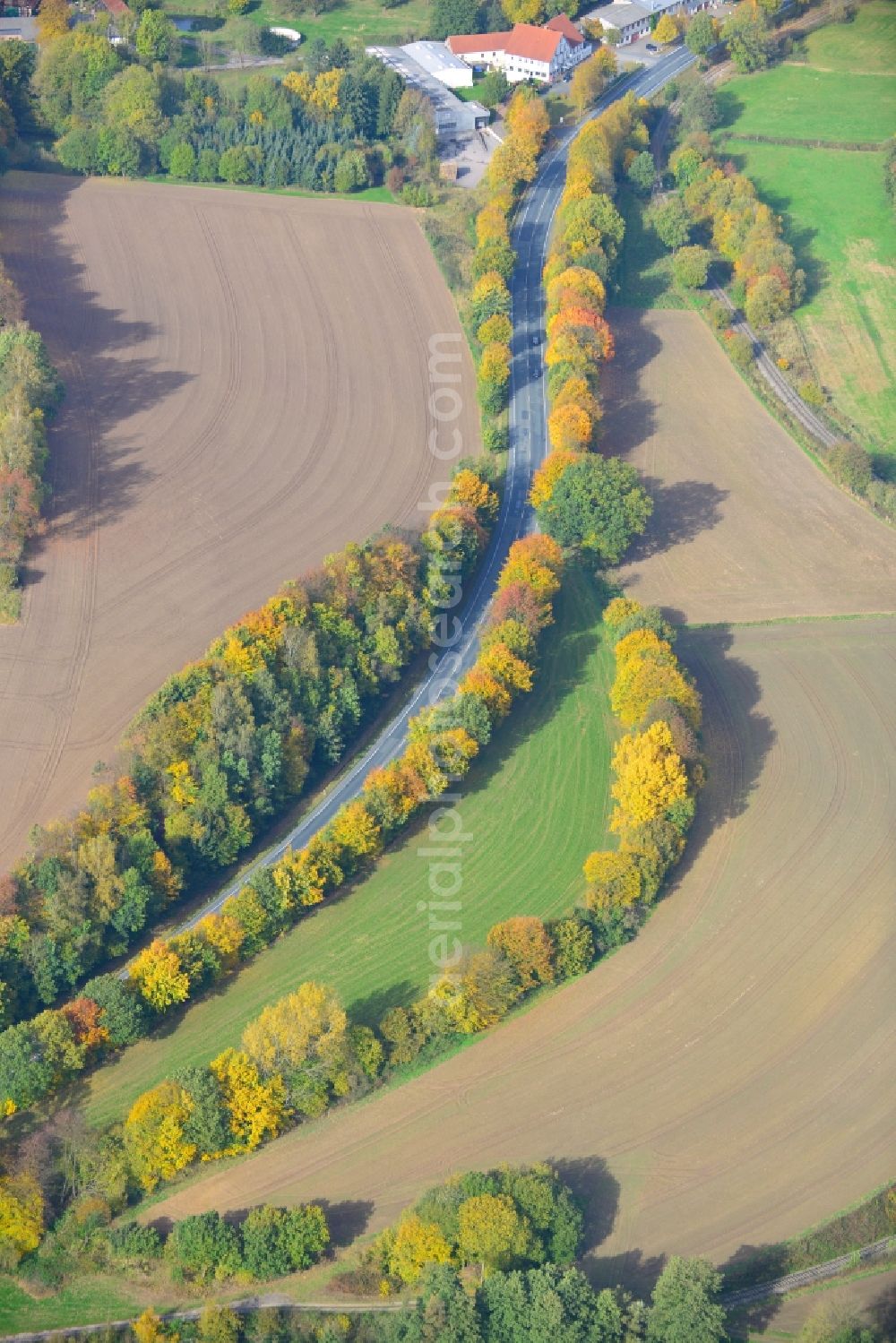 Dörentrup from above - View of an autumnal forestland, the small landscape park Pottkuhle in Dörentrup on the Schwelentruper way