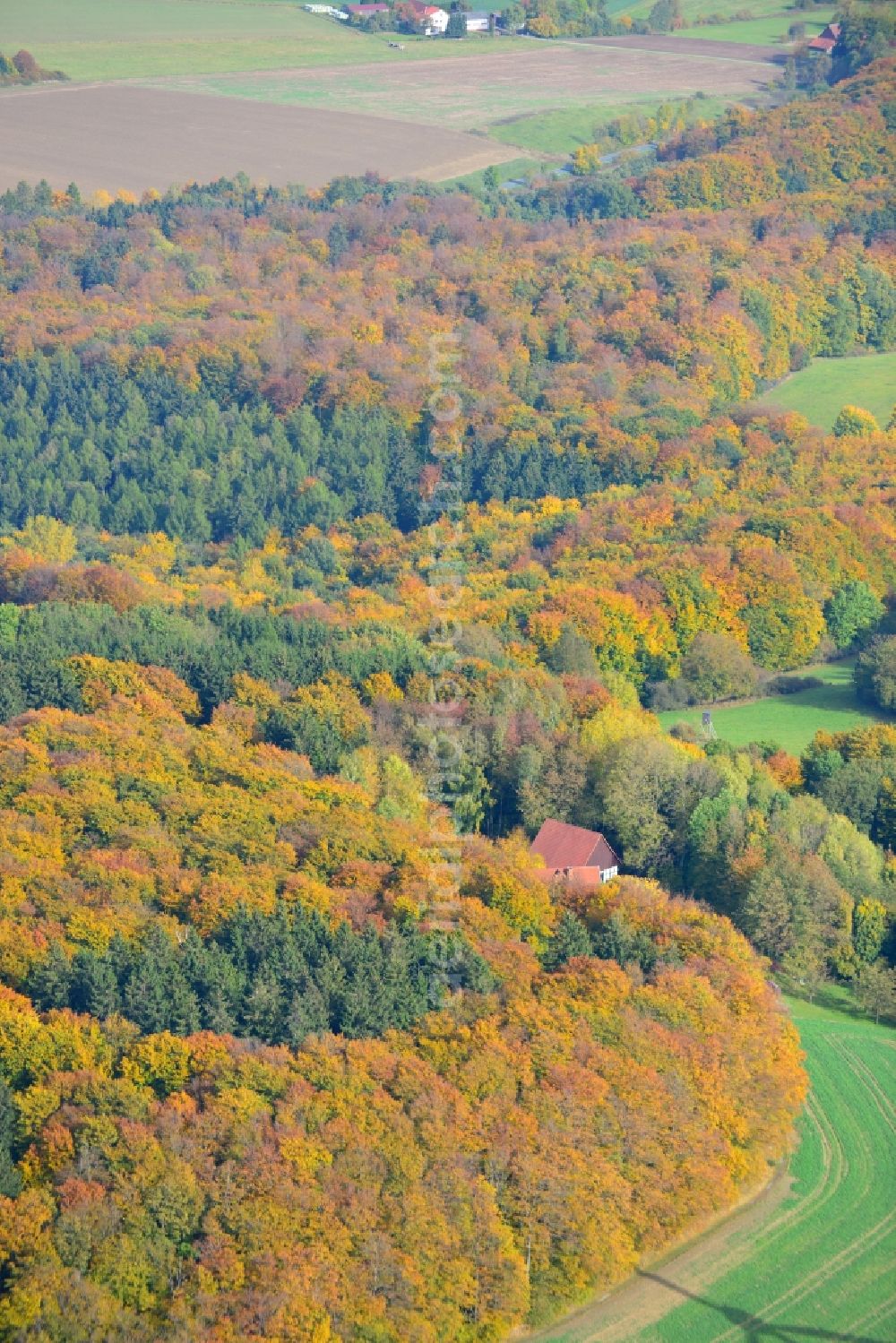 Dörentrup from above - View of an autumnal forestland, the small landscape park Pottkuhle in Dörentrup