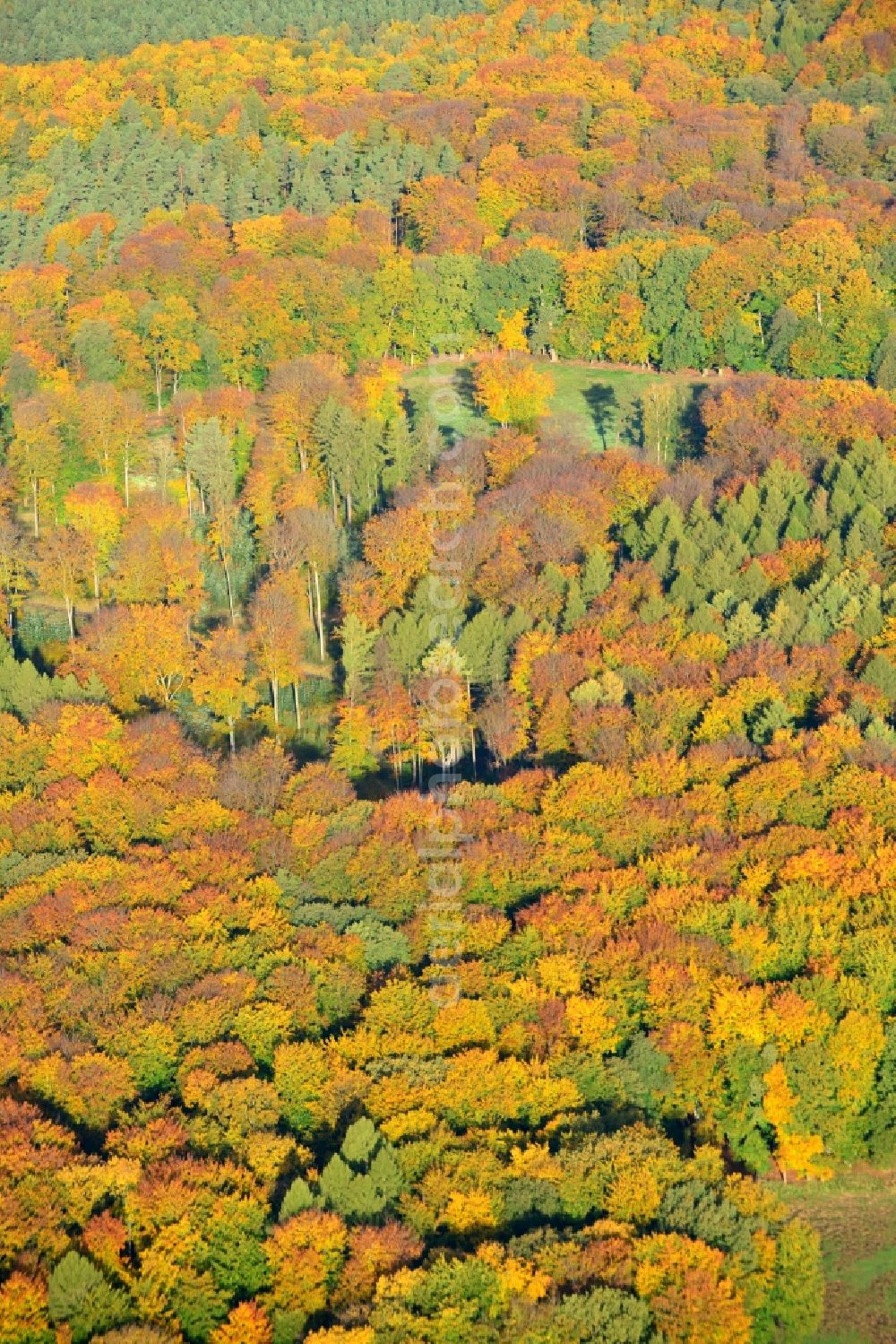 Aerial photograph Flechtingen - View of the Flechtingen Hills a wooded, hilly upland area in the northwestern part of the German state of Saxony-Anhalt