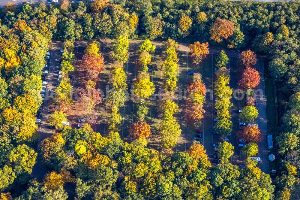 Aerial image Gladbeck - Autumnal discolored vegetation view parking and storage space for automobiles on Schloss Wittringen on street Bohmertstrasse in Gladbeck at Ruhrgebiet in the state North Rhine-Westphalia, Germany