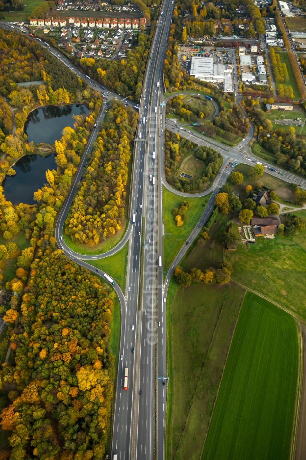 Aerial photograph Gladbeck - Autumnal discolored vegetation view Routing and traffic lanes during the highway exit and access the motorway A 2 and the B224 in Gladbeck in the state North Rhine-Westphalia