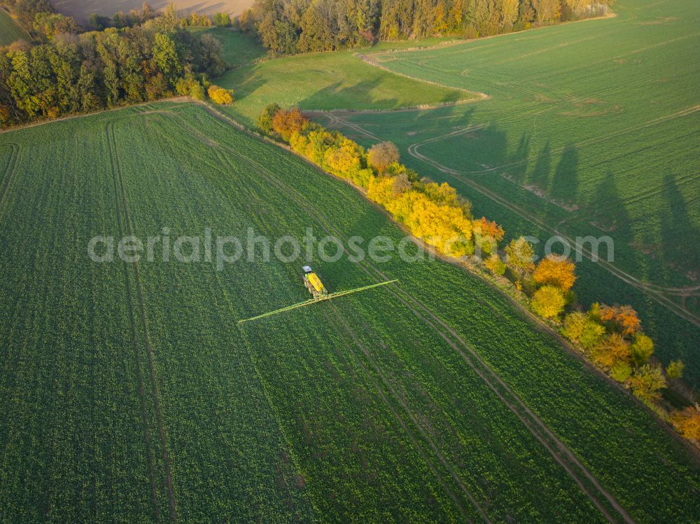 Aerial photograph Kriebstein - Autumnal discolored vegetation view row of trees on a country road on a field edge on street Dorfstrasse in Kriebstein in the state Saxony, Germany