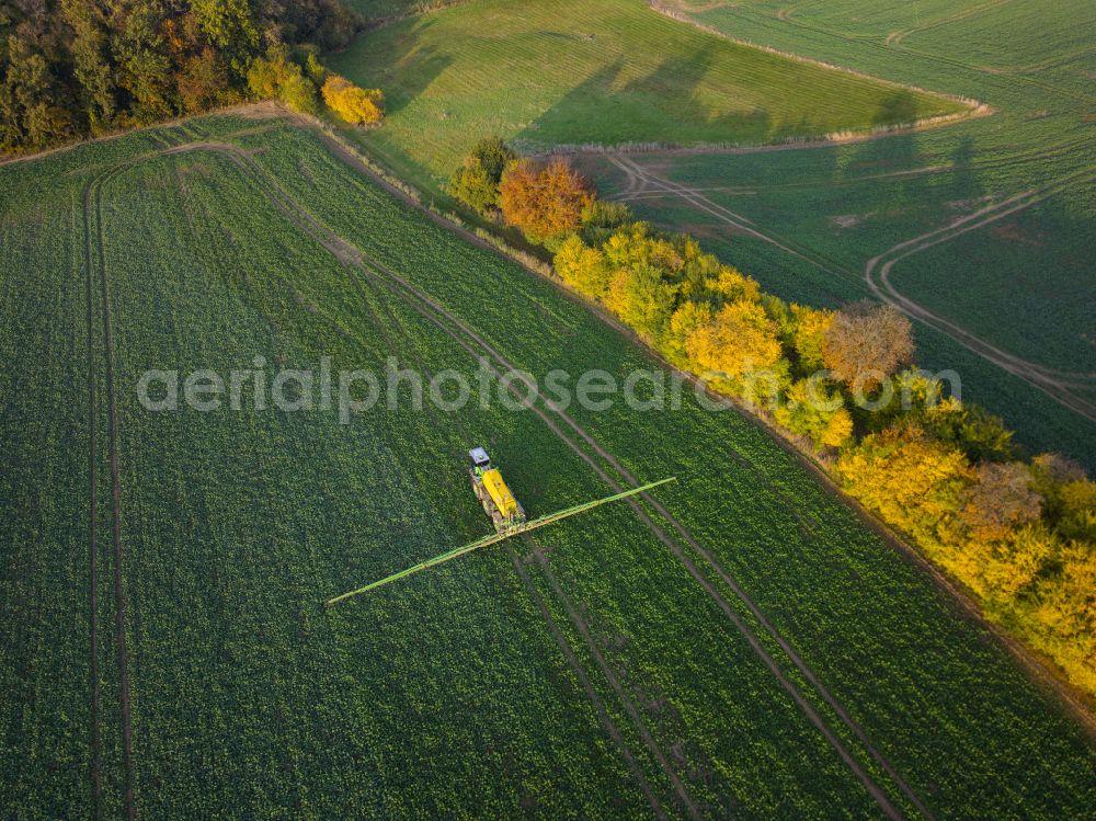 Kriebstein from above - Autumnal discolored vegetation view row of trees on a country road on a field edge on street Dorfstrasse in Kriebstein in the state Saxony, Germany