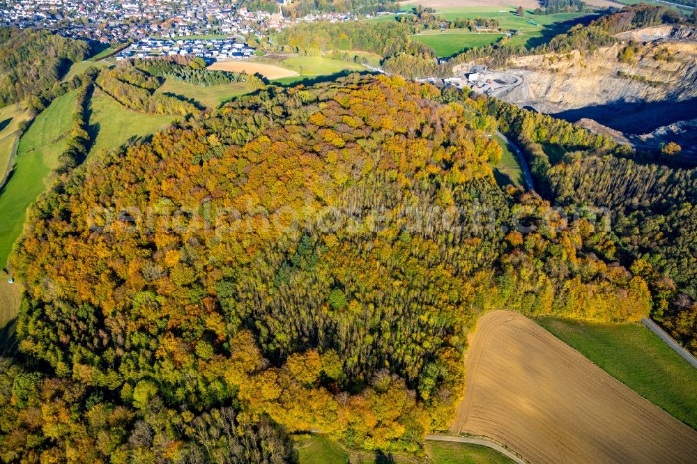 Aerial photograph Arnsberg - Autumnal discolored vegetation view treetops in a wooded area in Arnsberg in the state North Rhine-Westphalia, Germany