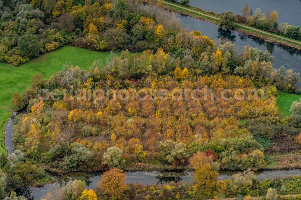 Aerial photograph Neuried - Autumnal discolored vegetation view treetops in a wooded area in Neuried in the state Baden-Wurttemberg, Germany