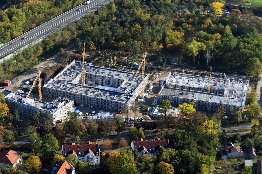 Aerial image Bernau - Autumnal discolored vegetation view construction site to build a new multi-family residential complex Waldquartier Friedenstal-Bernau on Zepernicker Chaussee corner Lenastrasse in Bernau in the state Brandenburg, Germany