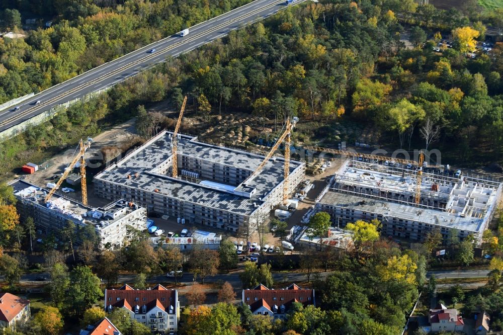 Aerial photograph Bernau - Autumnal discolored vegetation view construction site to build a new multi-family residential complex Waldquartier Friedenstal-Bernau on Zepernicker Chaussee corner Lenastrasse in Bernau in the state Brandenburg, Germany