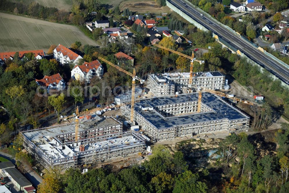 Bernau from above - Autumnal discolored vegetation view construction site to build a new multi-family residential complex Waldquartier Friedenstal-Bernau on Zepernicker Chaussee corner Lenastrasse in Bernau in the state Brandenburg, Germany