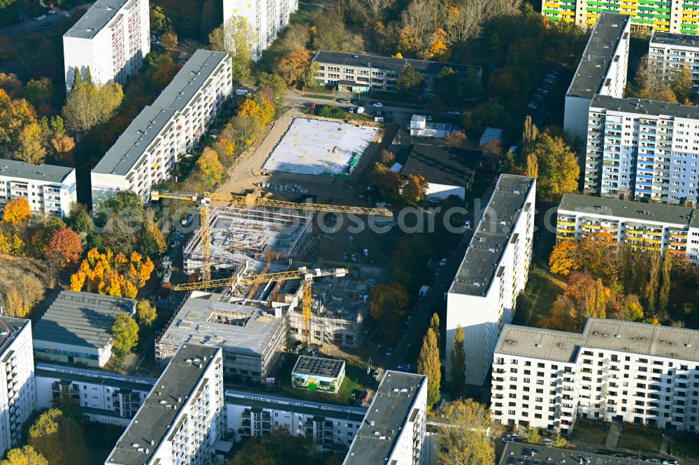 Aerial photograph Berlin - Autumnal discolored vegetation view new construction site of the school building on street Wuhlestrasse - Garzauer Strasse - Buckower Ring in the district Biesdorf in Berlin, Germany