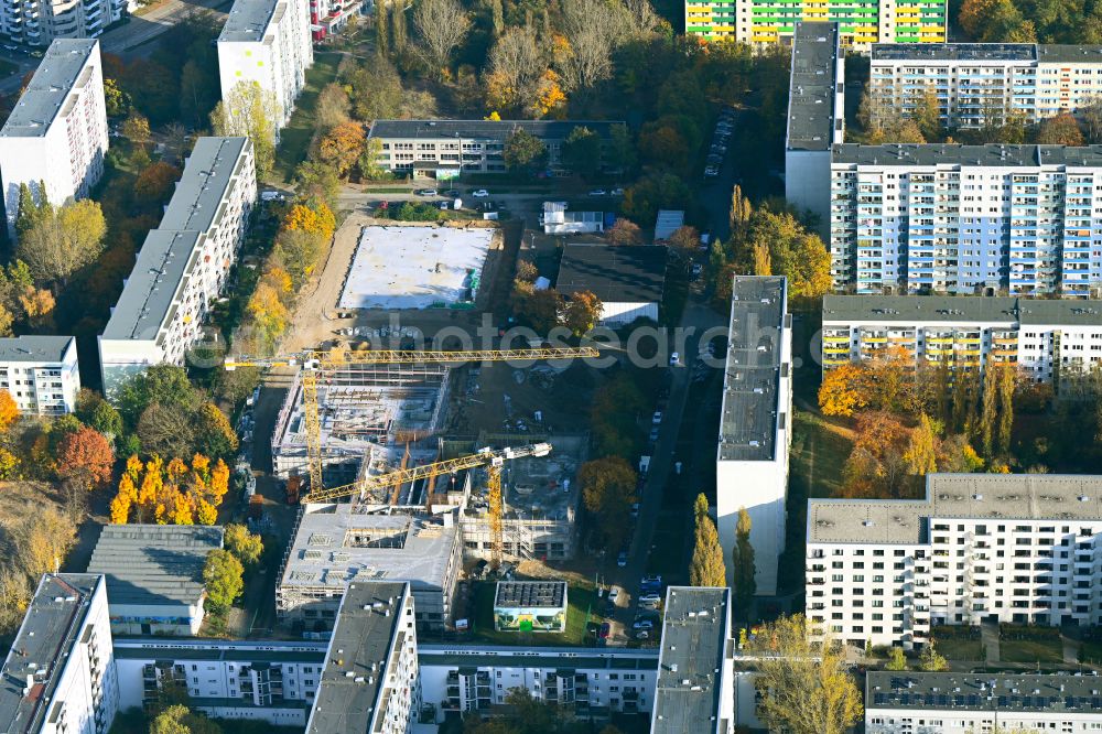 Berlin from above - Autumnal discolored vegetation view new construction site of the school building on street Wuhlestrasse - Garzauer Strasse - Buckower Ring in the district Biesdorf in Berlin, Germany