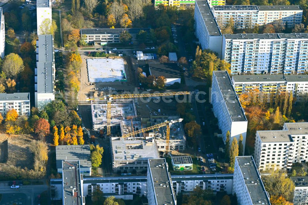 Berlin from the bird's eye view: Autumnal discolored vegetation view new construction site of the school building on street Wuhlestrasse - Garzauer Strasse - Buckower Ring in the district Biesdorf in Berlin, Germany