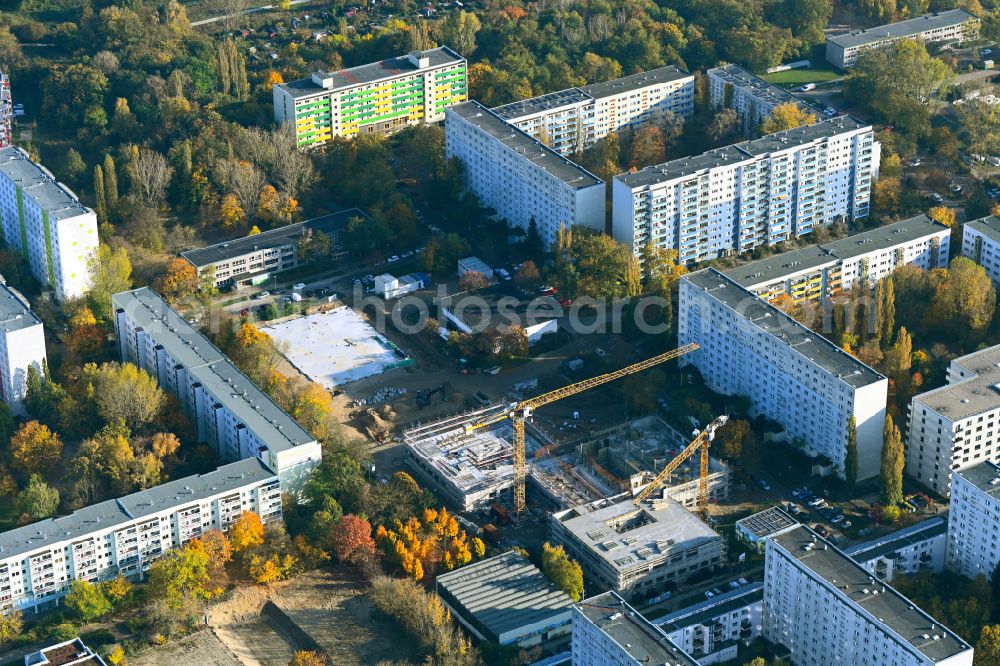 Aerial image Berlin - Autumnal discolored vegetation view new construction site of the school building on street Wuhlestrasse - Garzauer Strasse - Buckower Ring in the district Biesdorf in Berlin, Germany