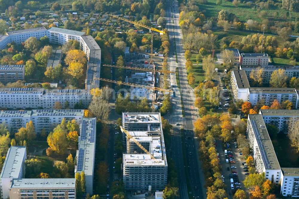 Aerial photograph Berlin - Autumnal discolored vegetation view construction site for the new build retirement home Seniorenwohnen Cecilienstrasse on street Teterower Ring - Cecilienstrasse in the district Hellersdorf in Berlin, Germany