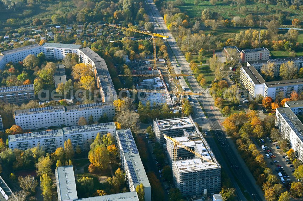 Berlin from above - Autumnal discolored vegetation view construction site for the new build retirement home Seniorenwohnen Cecilienstrasse on street Teterower Ring - Cecilienstrasse in the district Hellersdorf in Berlin, Germany