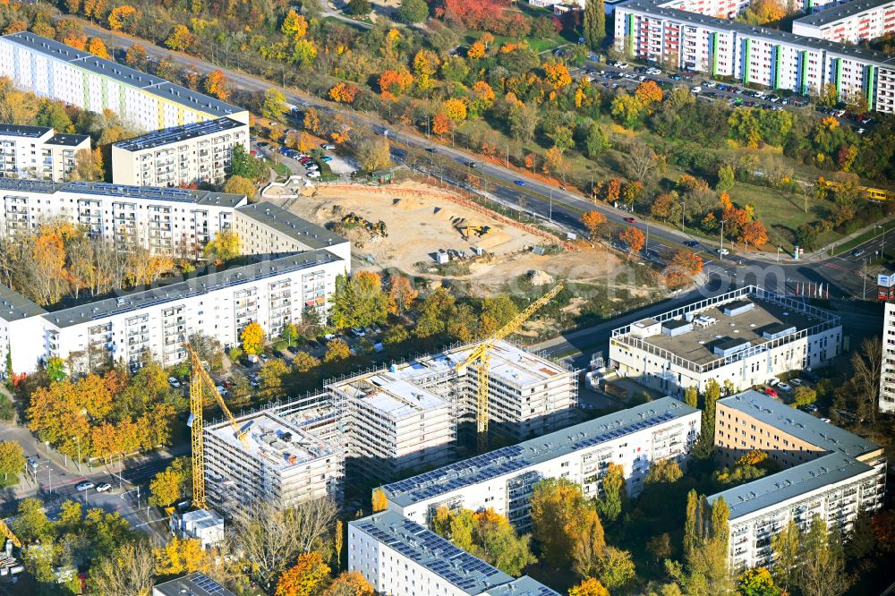 Aerial photograph Berlin - Autumnal discolored vegetation view construction site for the new build retirement home Seniorenwohnen Cecilienstrasse on street Teterower Ring - Cecilienstrasse in the district Hellersdorf in Berlin, Germany