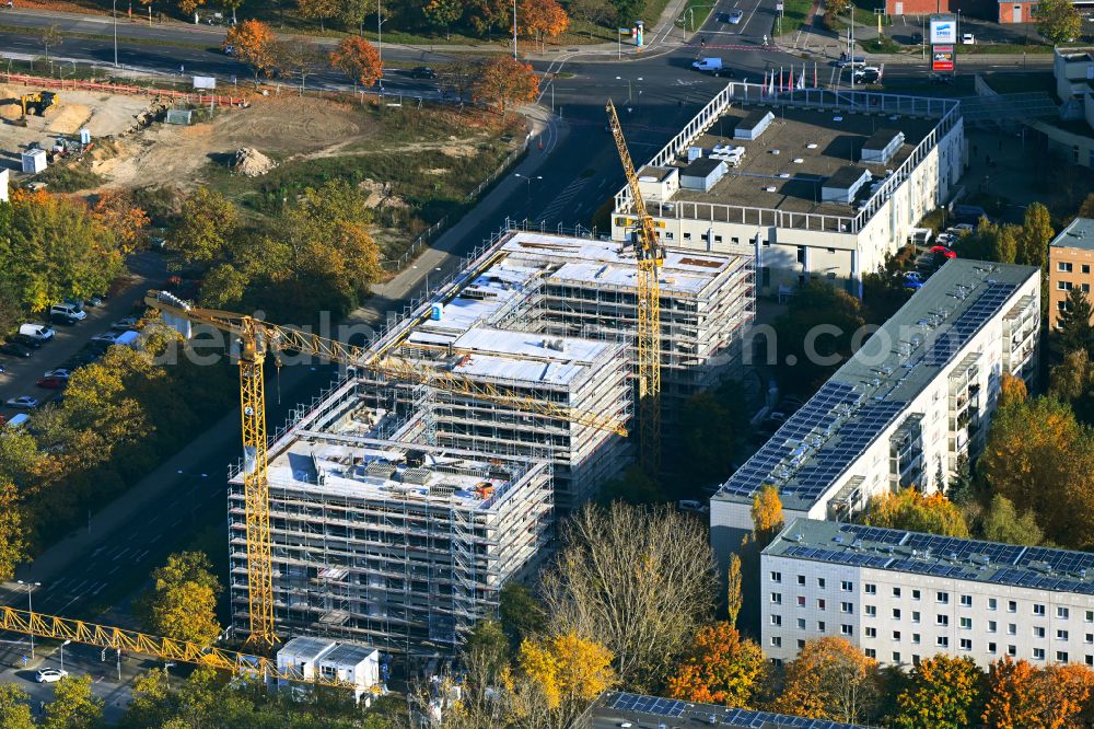 Aerial photograph Berlin - Autumnal discolored vegetation view construction site for the new build retirement home Seniorenwohnen Cecilienstrasse on street Teterower Ring - Cecilienstrasse in the district Hellersdorf in Berlin, Germany