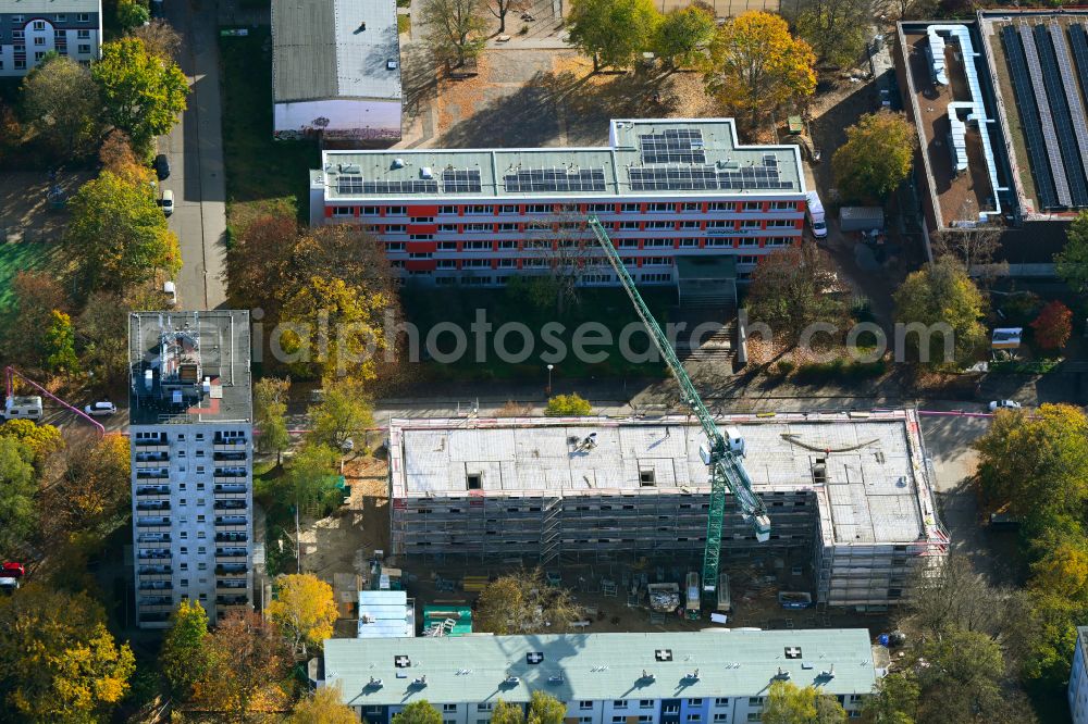 Berlin from above - Autumnal discolored vegetation view construction site for the multi-family residential building on Haenselstrasse in the district Baumschulenweg in Berlin, Germany