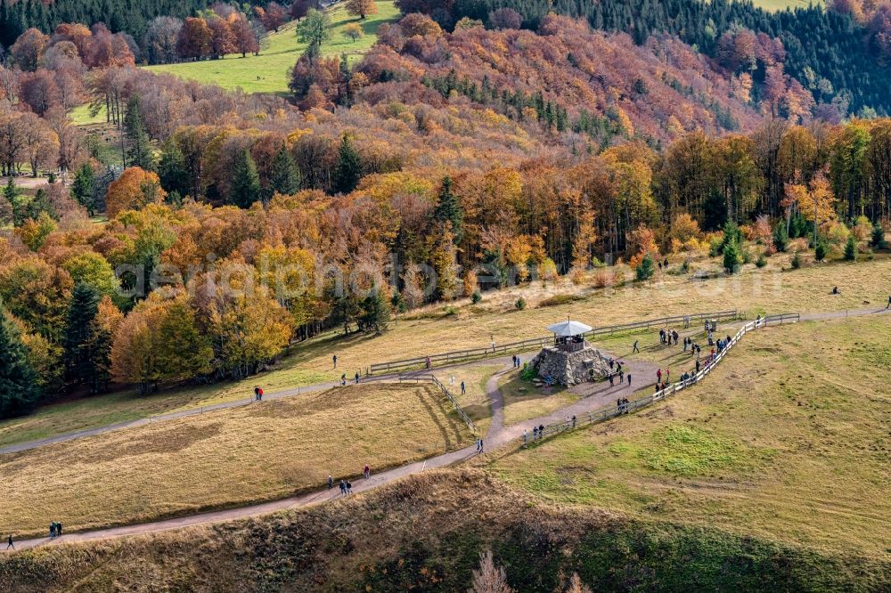 Waldkirch from the bird's eye view: Autumnal discolored vegetation view rock and mountain landscape Berggipfel of Kandel in Waldkirch in the state Baden-Wurttemberg, Germany