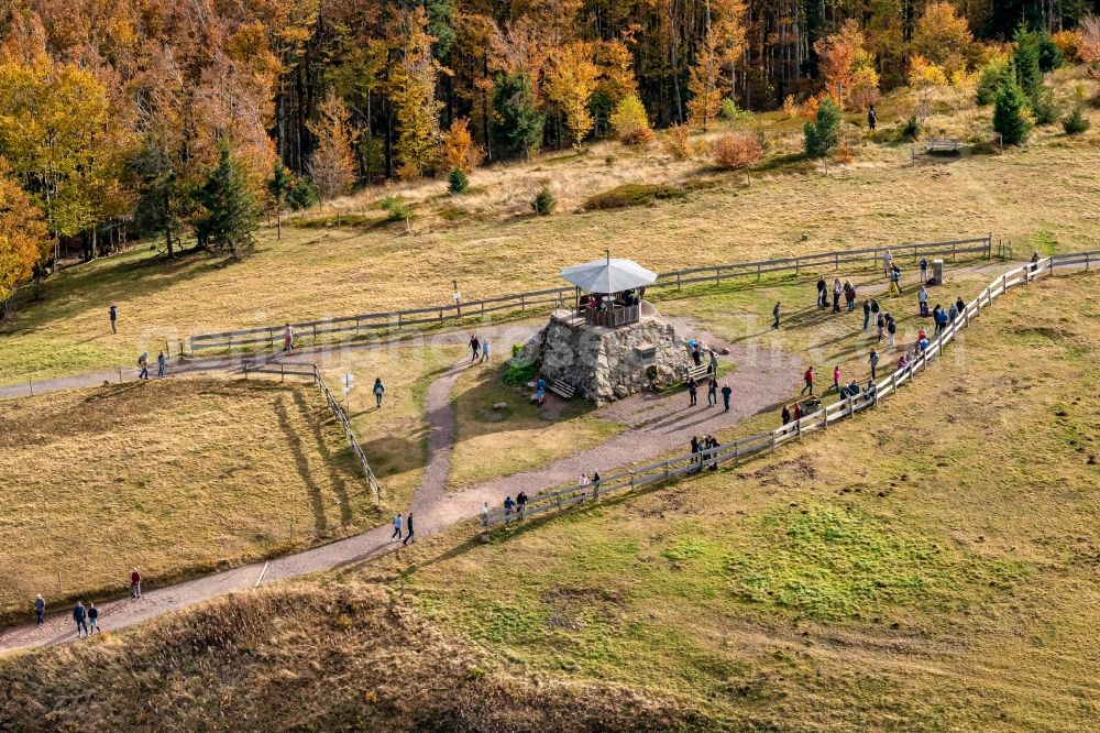 Waldkirch from above - Autumnal discolored vegetation view rock and mountain landscape Berggipfel of Kandel in Waldkirch in the state Baden-Wurttemberg, Germany