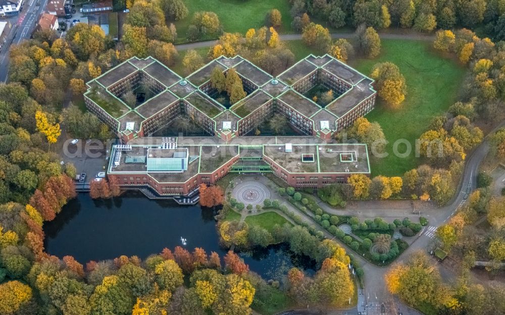 Gelsenkirchen from above - Autumnal discolored vegetation view office building on street Alexander-von-Humboldt-Strasse in the district Hassel in Gelsenkirchen at Ruhrgebiet in the state North Rhine-Westphalia, Germany