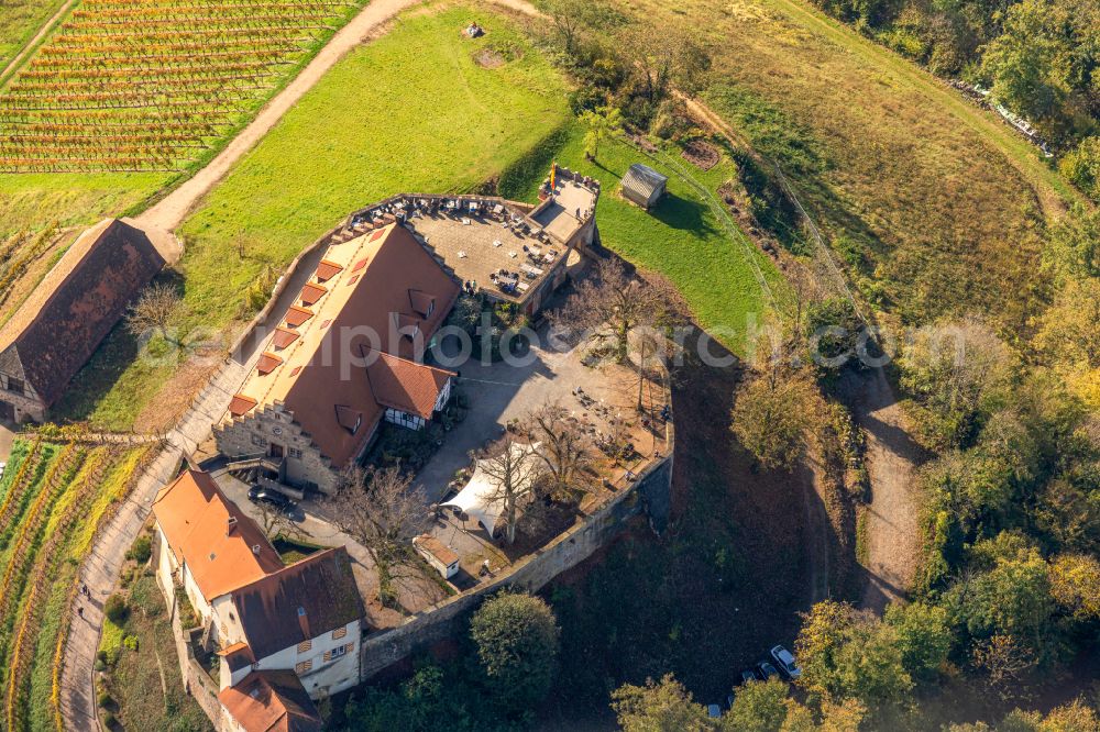 Aerial photograph Durbach - Autumnal discolored vegetation view castle of Schloss Staufenberg in Durbach in the state Baden-Wurttemberg, Germany