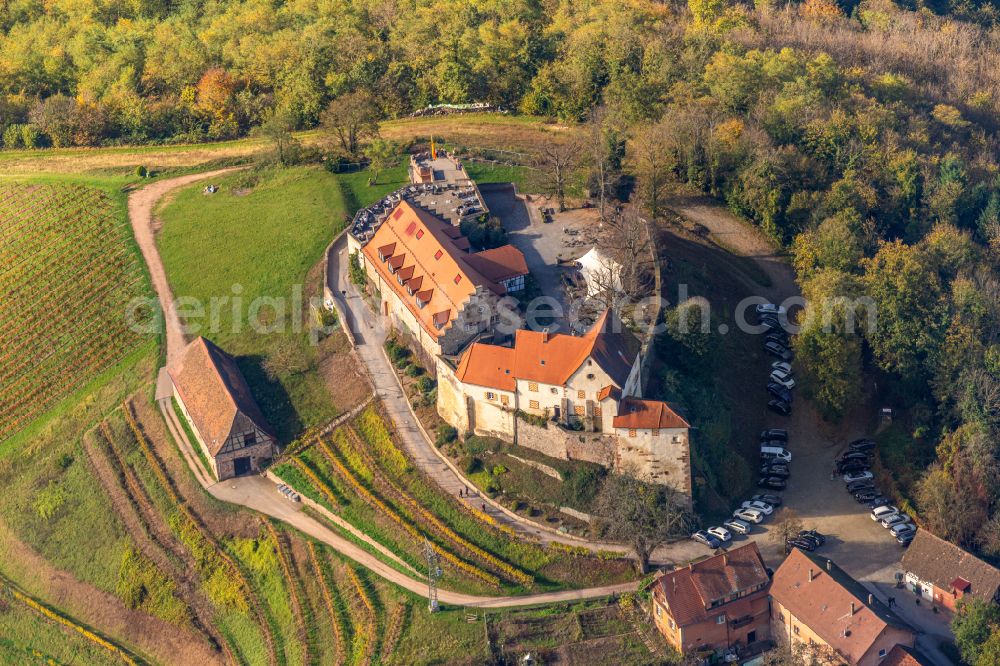 Durbach from the bird's eye view: Autumnal discolored vegetation view castle of Schloss Staufenberg in Durbach in the state Baden-Wurttemberg, Germany